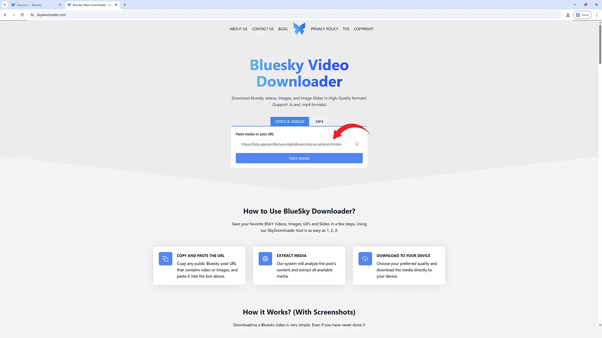 Paste the copied link of bluesky post