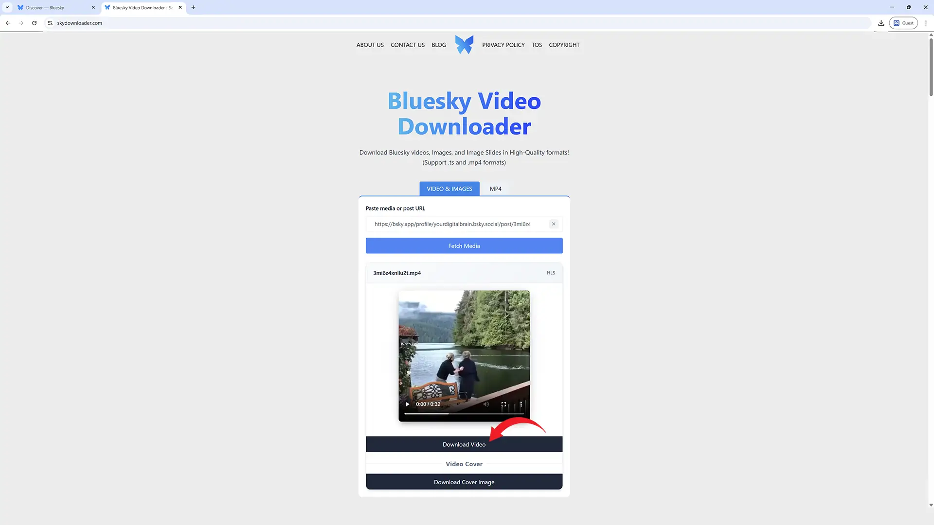 download-bsky-video-or-image